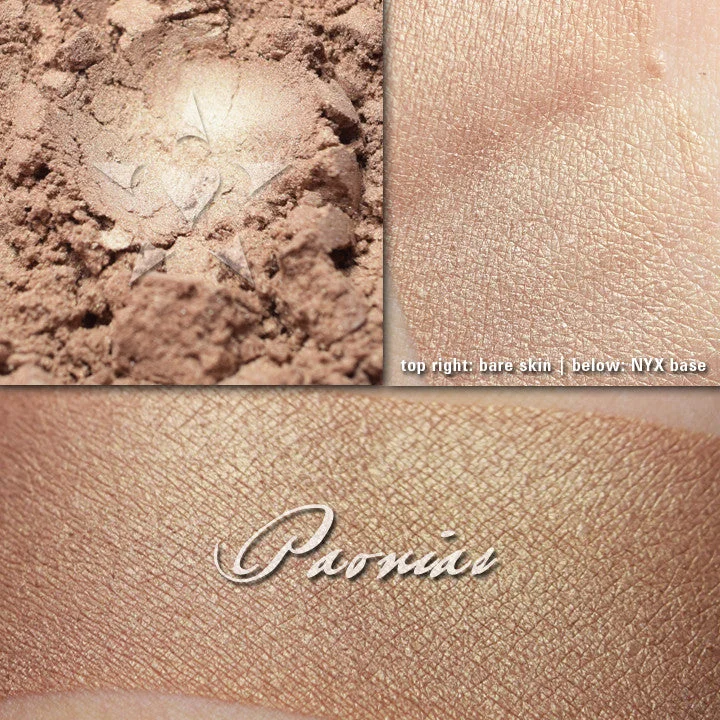 PAONIAS -  Multipurpose - Highlighter